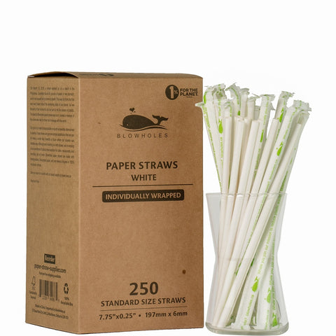 Blowholes Eco-Friendly Individually Wrapped Standard Straws